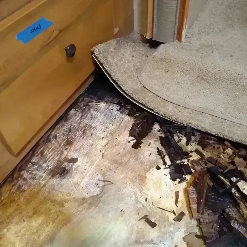 Best Wood Floor Water Damage Service in Orting, WA